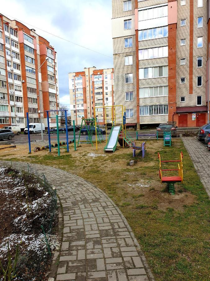 Apartment On Kravchuka, 11B ルーツィク エクステリア 写真