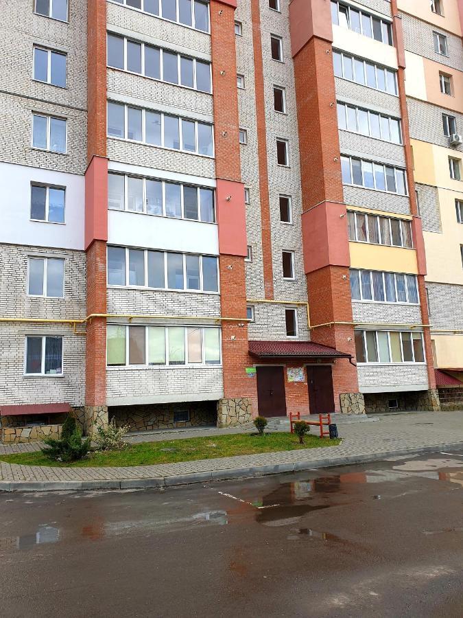Apartment On Kravchuka, 11B ルーツィク エクステリア 写真